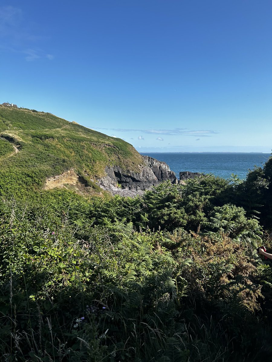 Miss Sutton PE tweet media