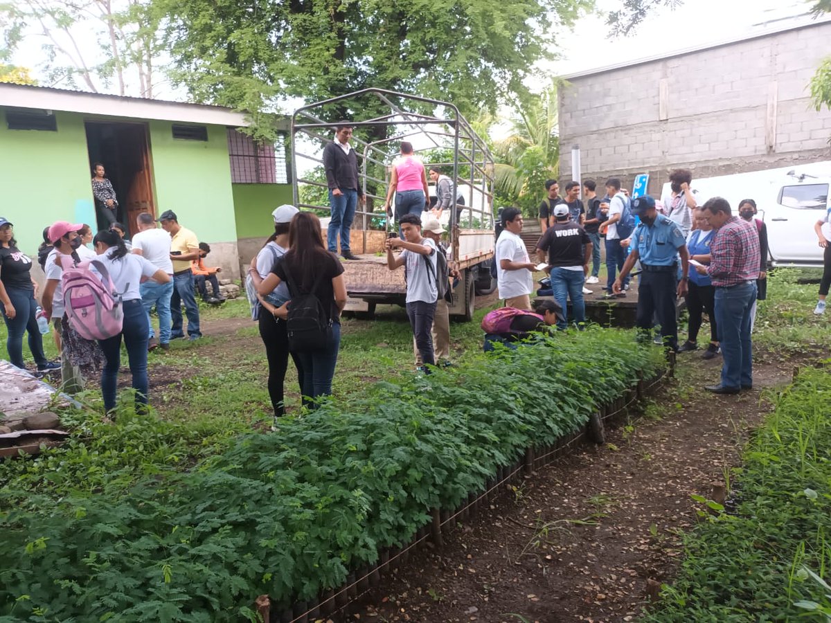 MarenaNicaragua's tweet photo. En el municipio de San Lorenzo, Boaco, realizamos la siembra de 1,000 plantas de Leucaena y Laurel, en el Parque Ecológico Municipal Tecolostote.
La actividad contó con la participación de la Alcaldía Municipal, INAFOR, #MIFAM y Juventud Sandinista.
#VerdeQueTeQuieroVerde https://t.co/NO9twqx8iY