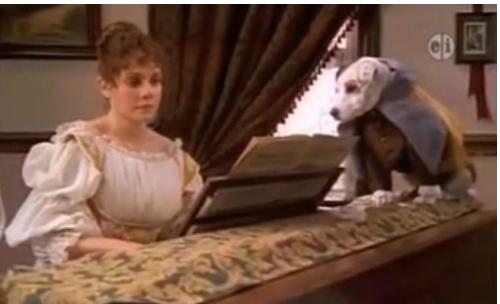 Boze the Library Owl 😴🧙♀️ tweet media