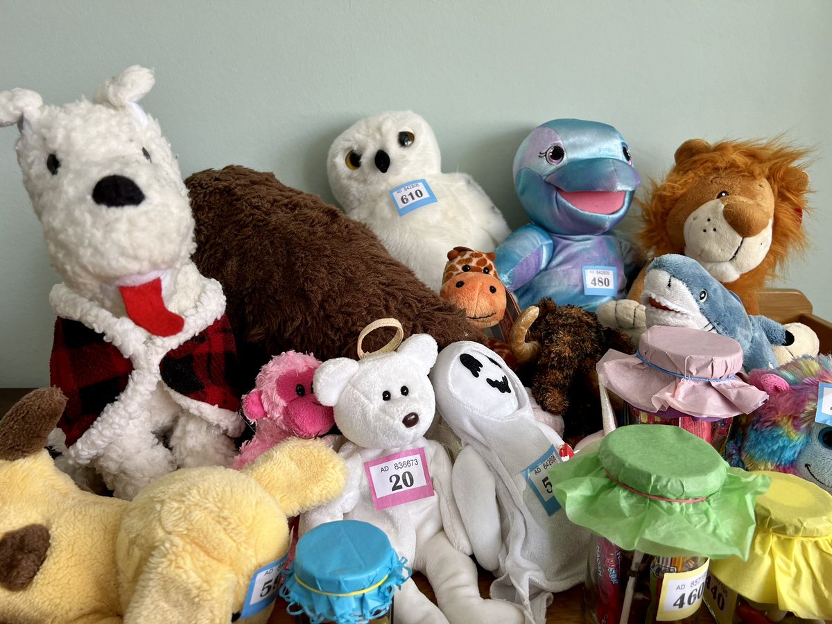 See you all in the procession this Saturday at Dormansland Wild Wild West Carnival 🤠 🌵 🐴. We’ve an extra special tombola with sweets &amp; lots of preloved soft toys needing a new home ❤️💙🤍
Look forward to seeing you all there 🍭 🍬 🐻 🐵🐸🐮🐷🐯🐌🐥🐱🐍 🦄 🐼 🦧🐊🦈🐬🦉🦁🐶🦊🐰