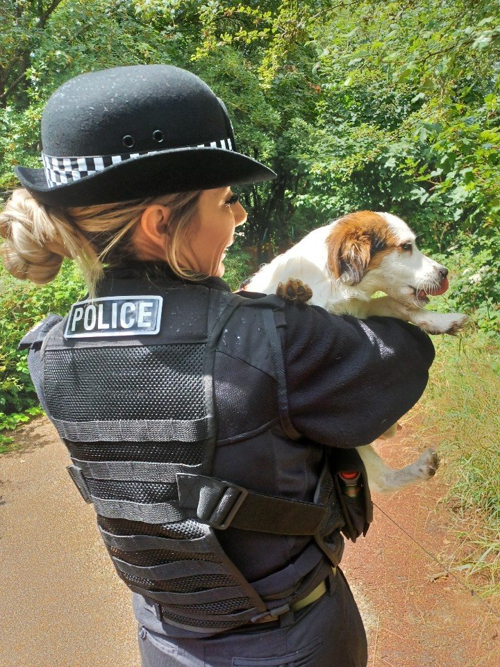 MPSWandleValley's tweet photo. Following reports of dogs out of control in Poulter Park, SNT Officers have conducted patrols and have been engaging with dog walkers. These patrols will continue. If you see us about, please come and have a chat.#1878SN @MPS https://t.co/gRFY8s46vQ