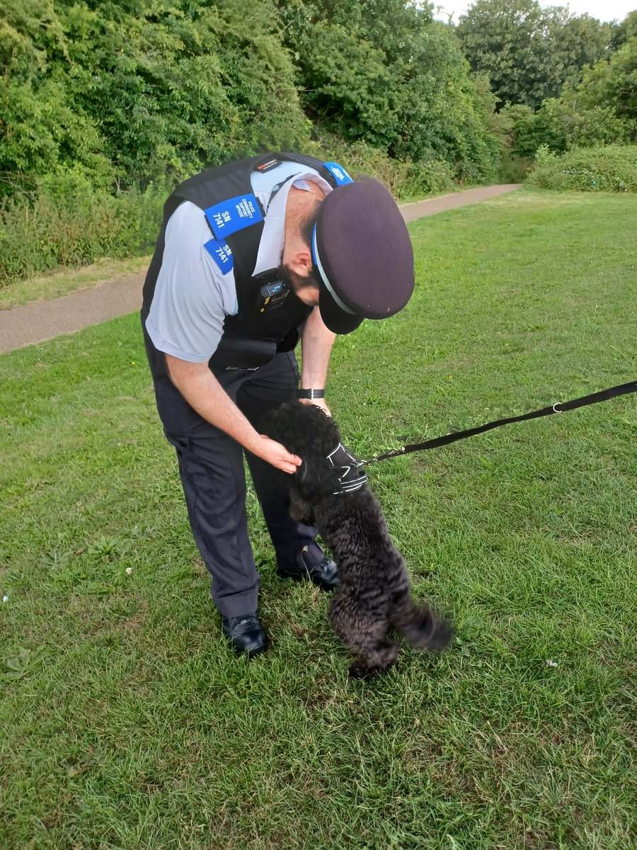 MPSWandleValley's tweet photo. Following reports of dogs out of control in Poulter Park, SNT Officers have conducted patrols and have been engaging with dog walkers. These patrols will continue. If you see us about, please come and have a chat.#1878SN @MPS https://t.co/gRFY8s46vQ