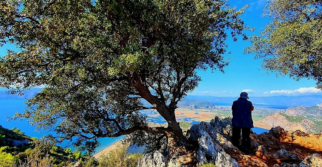 Oraya gittiğimde ''Rabbimiz halk ettiğin dünya aleminde hiçbir eksiklik yoktu. Beni buna tanık kıldığın için Sana şükrediyorum'' diyeceğim inşallah.