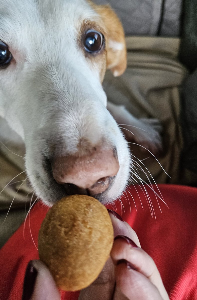 CanadianPenny1's tweet image. Roadtrip #timbit! 😋
@TimHortons 🍩☕️