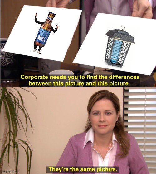 Buddy tweet media