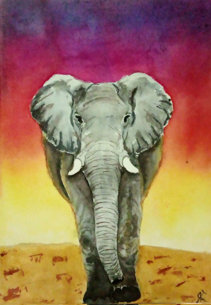 Katnatures's tweet photo. Символ мудрости.
#art #watercolor #painting #ukrainart #katnatures #elefant #artist #ukrart https://t.co/eMDWyRiML4
