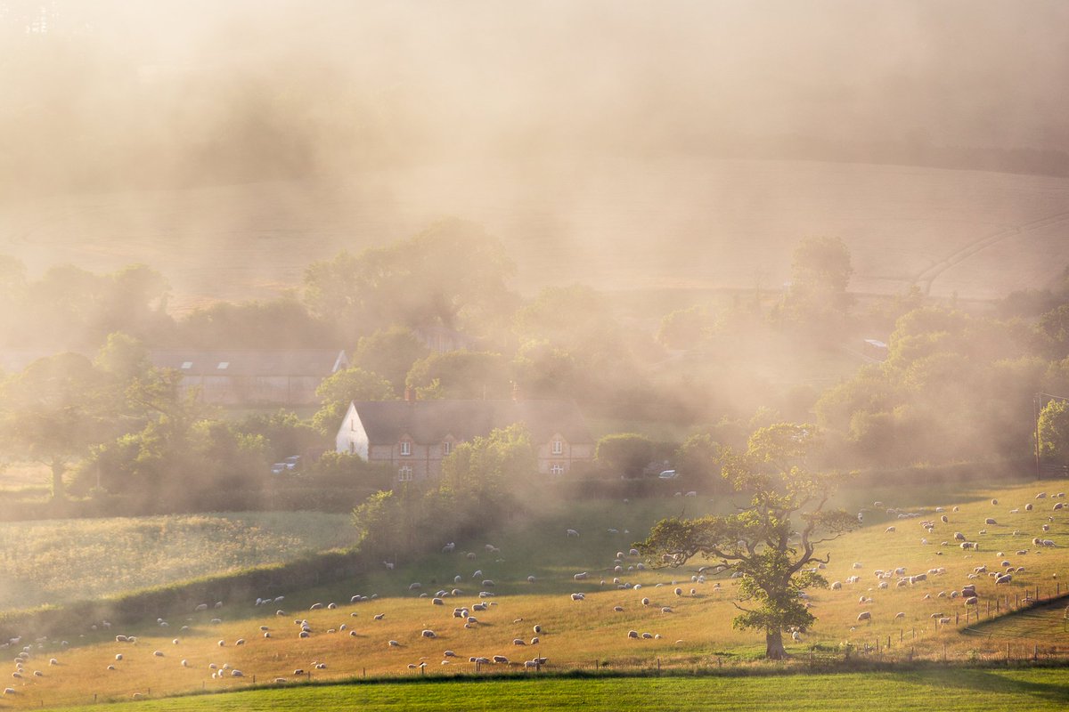 brucelittle's tweet photo. From a couple of Saturdays ago on the coast path near #Sidmouth. Sea fog spilling onto the land shortly before sunset, with this farmhouse and a field of sheep making a niceish composition #fog #Weather #eastdevon #visiteastdevon #visitsidmouth https://t.co/cUizX462qM