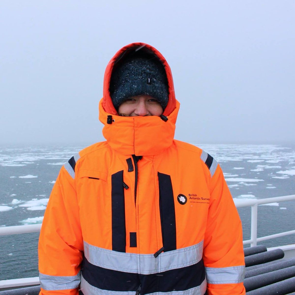 GirlsIntoGeoscience tweet media