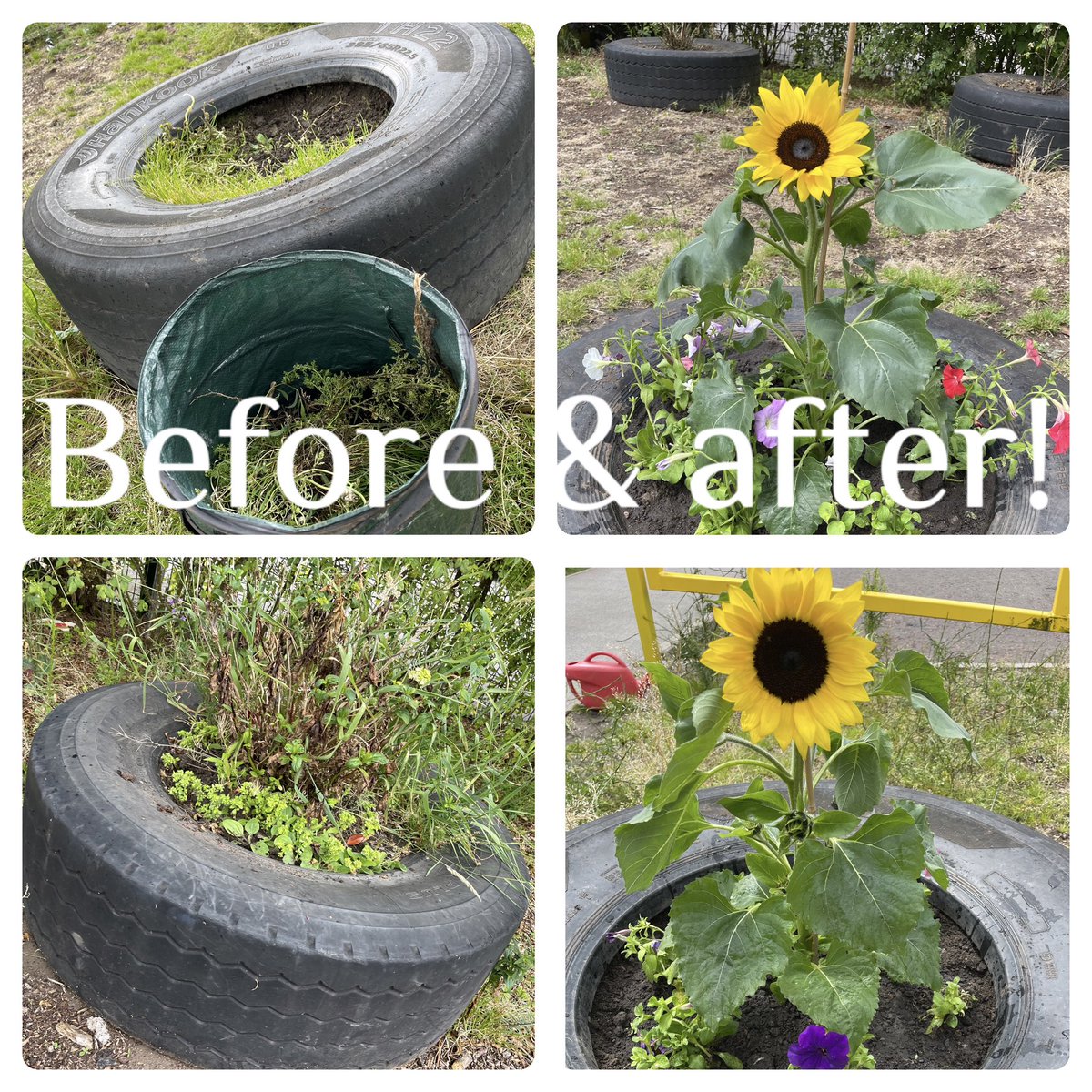 Being a part of our community is a priority for Stamford Brook Pre-School We have spent some time sprucing up the tyre planters. It’s beginning to look more inviting for mini beasts. If you’d like to become involved with tending to this small area please get in touch