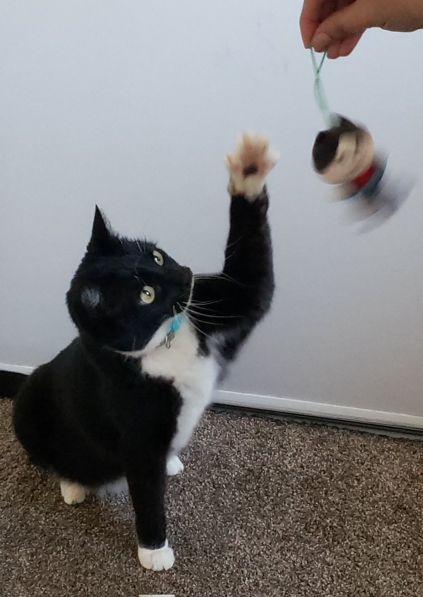 savannah (@noogaaats) on Twitter photo 