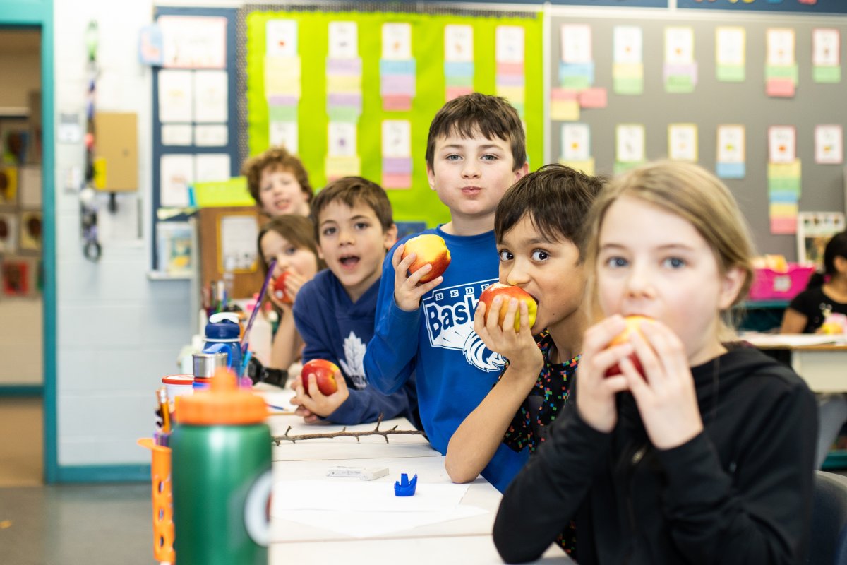 NovaScotiaLoyal's tweet photo. And now we’re helping students build on what they learned in the classroom, giving vouchers they can use towards their family’s next purchase of fresh, locally grown produce at a Farmer’s Market near them! #NSLoyal #NSEducation https://t.co/hdd7Ppauxv