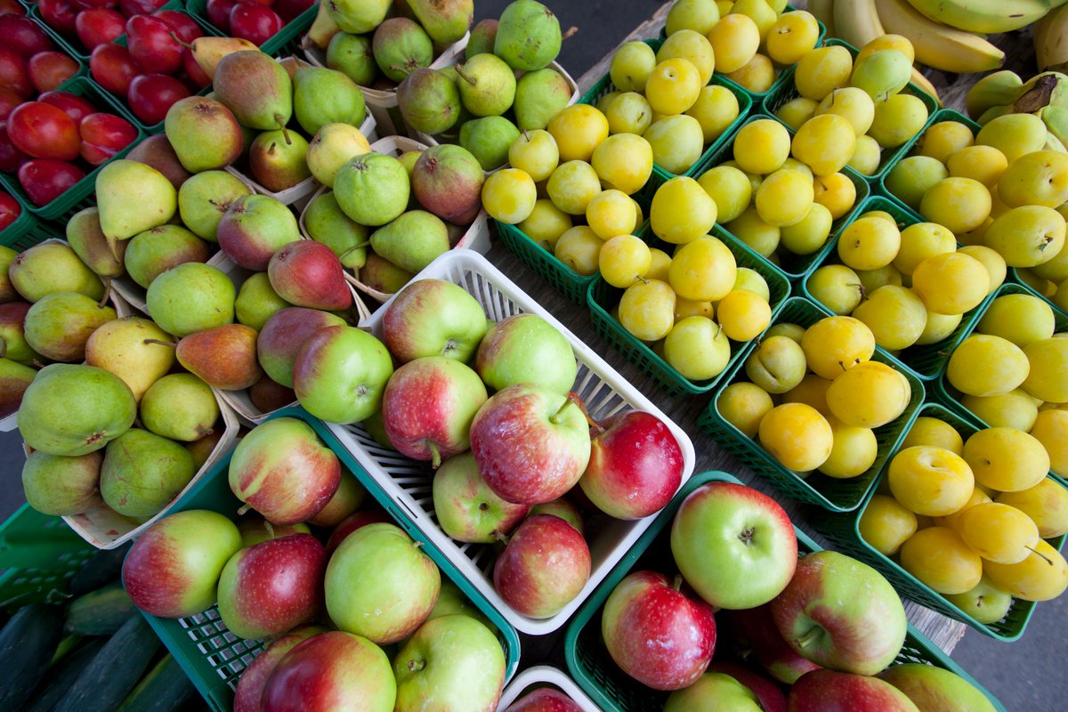 NovaScotiaLoyal's tweet photo. And now we’re helping students build on what they learned in the classroom, giving vouchers they can use towards their family’s next purchase of fresh, locally grown produce at a Farmer’s Market near them! #NSLoyal #NSEducation https://t.co/hdd7Ppauxv