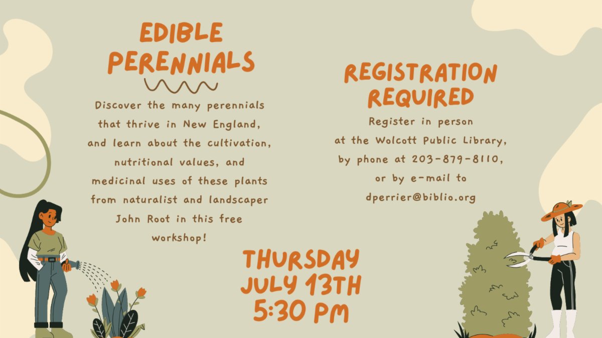 wolcottpublib's tweet image. 🌱 Join us for this free program and discover the many perennials that thrive in New England with naturalist John Root. 

📅 Thursday, July 13th
⏰ 5:30 PM

Register at WPL, call 203-879-8110, or email dperrier@biblio.org #EdiblePerennials #NewEnglandPlants #LibraryWorkshop