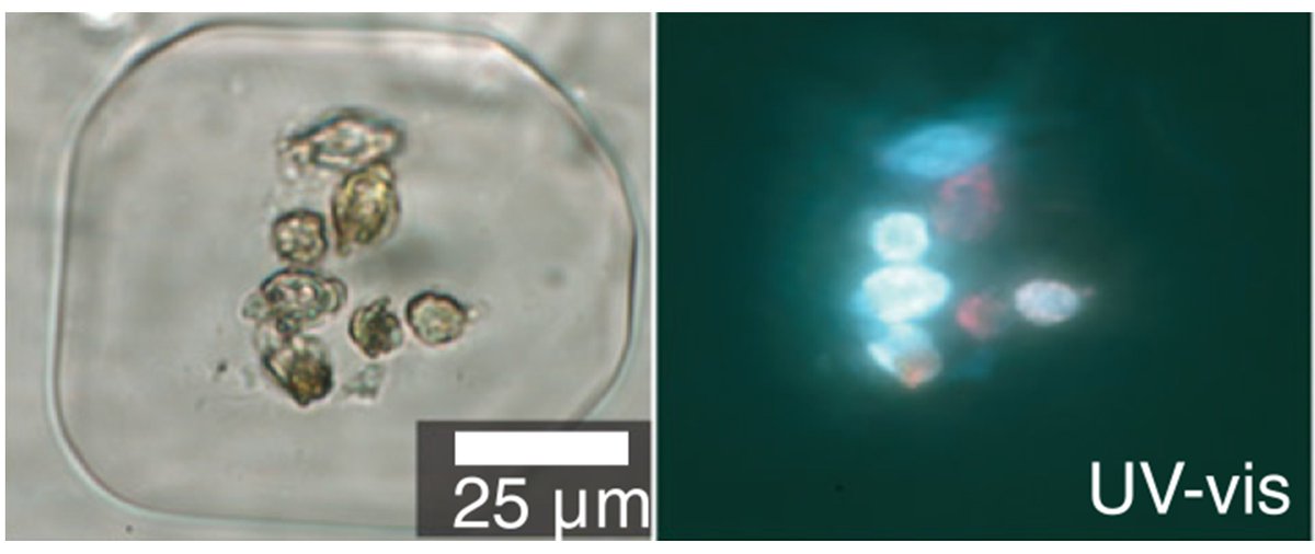 Utah Geological tweet media