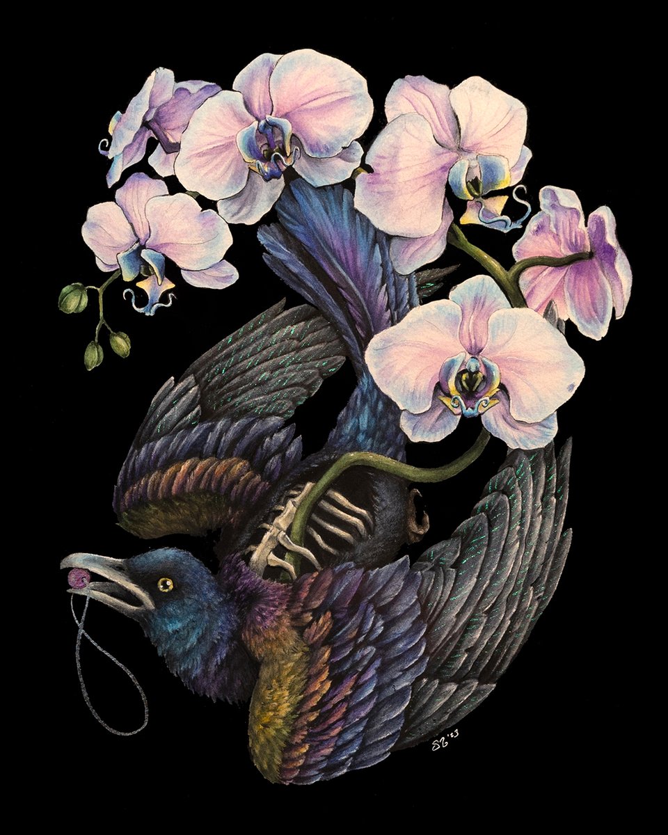 'Unearthly Visions' New Work by Steph Stevenson, opens July 14th! - mailchi.mp/ghostgallerysh…