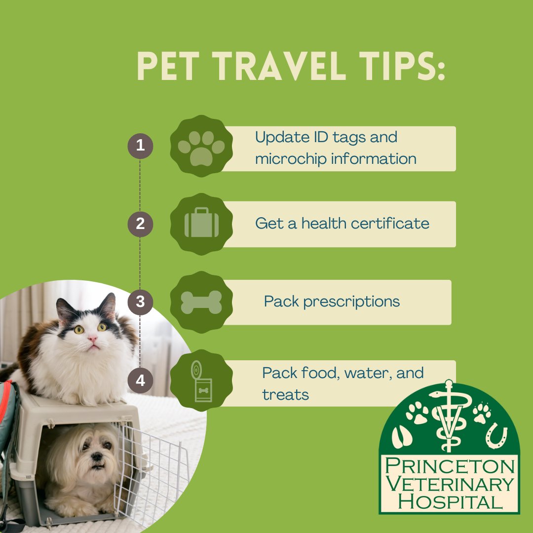 Princeton Veterinary Hospital tweet media