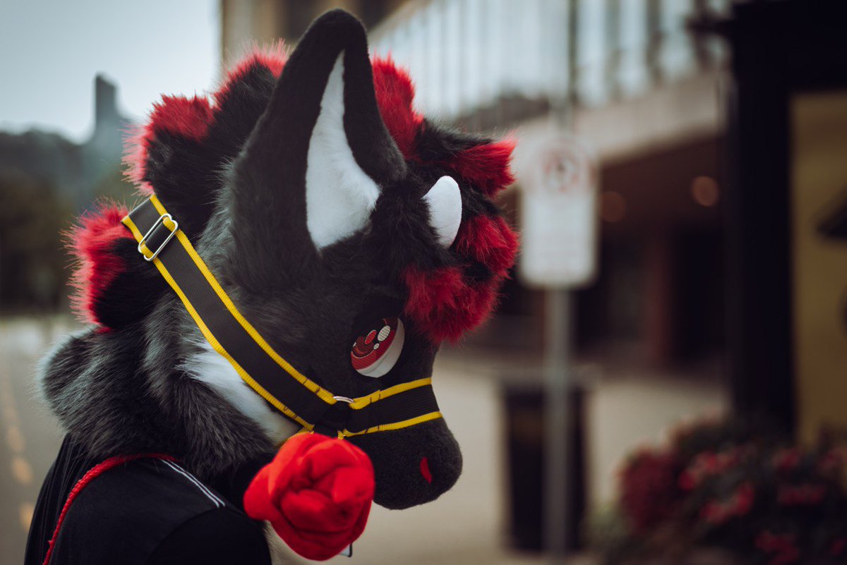 AryeoRose's tweet photo. Are my eyes pretty..?
📸-@acoyeen

#anthrocon #fursuit #furusiter #fursuitphotography #anthrocon2023 https://t.co/1uaPZbx9Hg