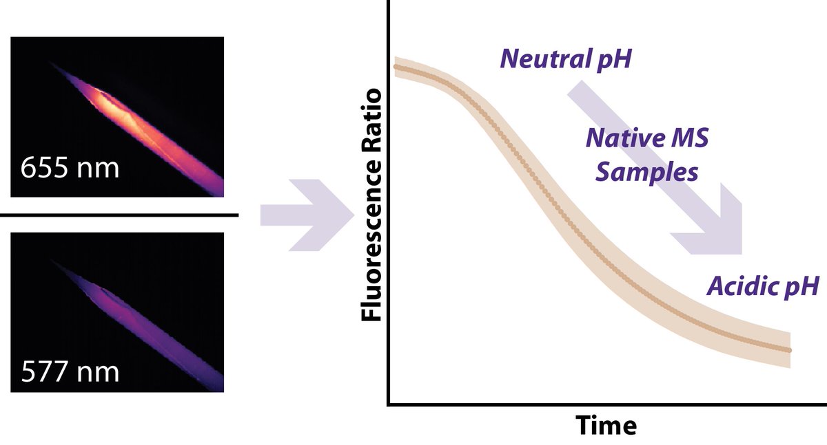 Bush Lab tweet media