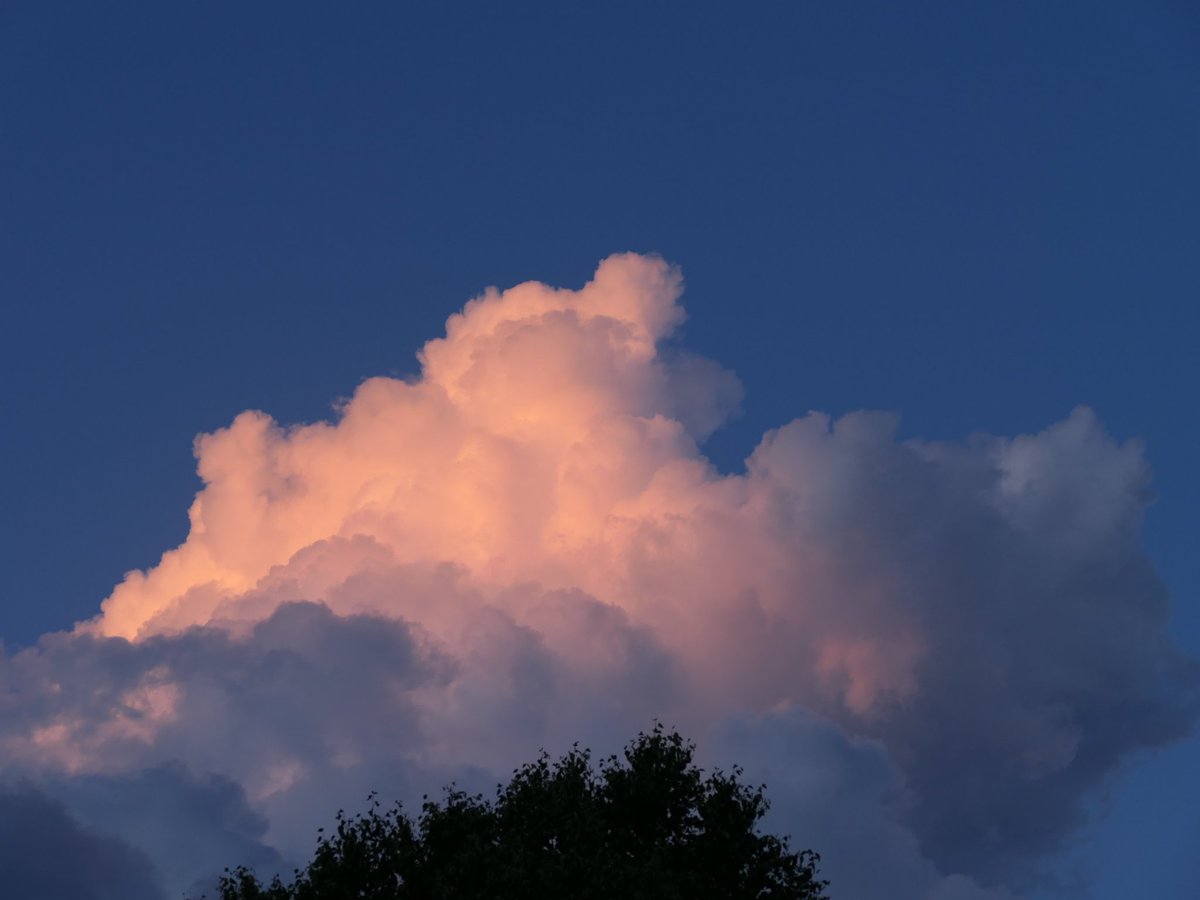 jeannette_zust's tweet image. Schönen, gemütlichen Abend allerseits 🙋‍♀️