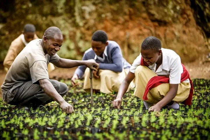 1. Plant trees to minimize poverty in local communities.
2. Plant trees to improve climate change resilience & mitigation.
3. Plant trees to improve food security.

#PlantTrees
#CombatClimateChange