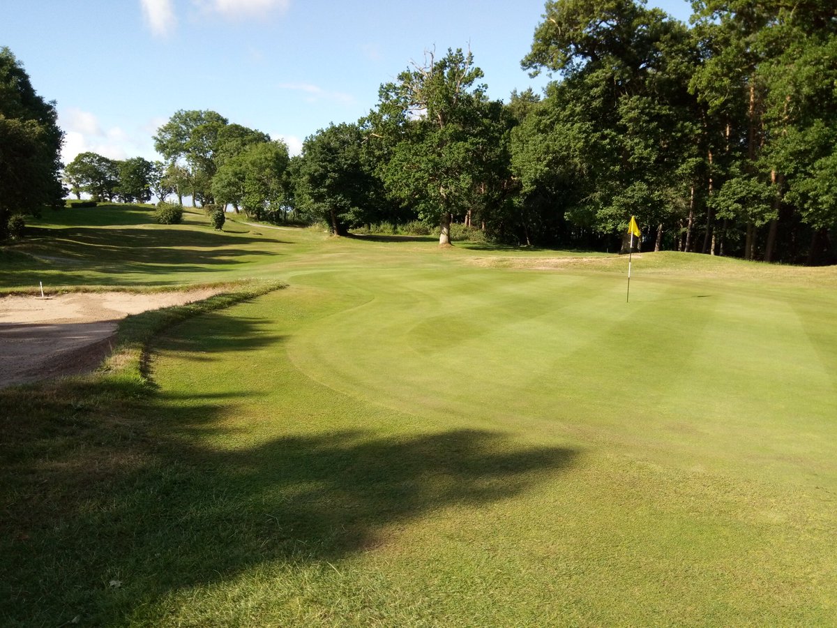 Greens coming on nicely after a sorrel roll and a light top dress. 👌