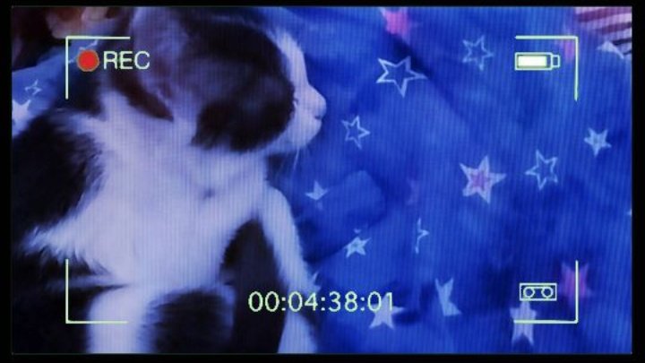 Izaart_'s tweet photo. Old pictures of my baby https://t.co/0QVEZPaBFJ