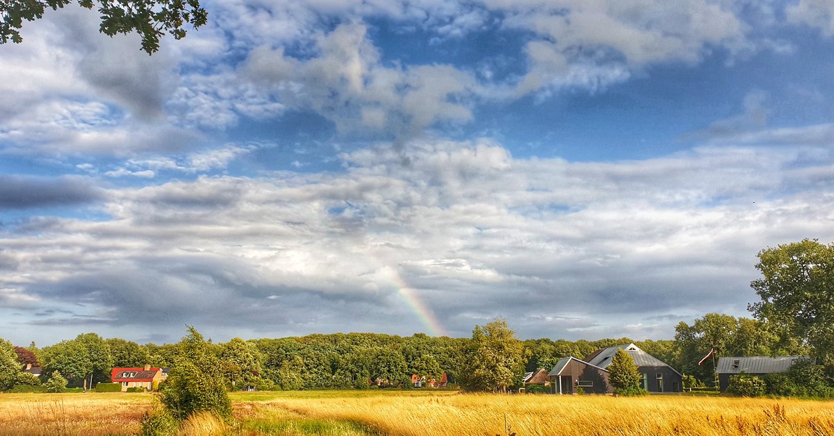 - JB in Beeld - tweet media