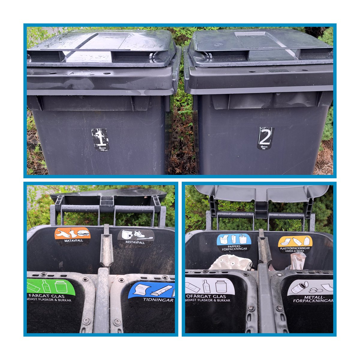 Mülltrennung finde ich hier 🇸🇪 auch genial. Von Gemeinde zu Gemeinde unterschiedlich. 
Dazu gibt's noch Stationen im Ort, wo man größere Mengen kostenfrei hinbringen kann. Ebenso riesige Recyclinghöfe, die für jeden Abfall kostenfrei sind.
