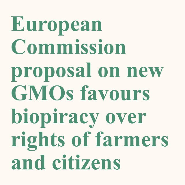 ☣️The @EU_Commission proposal on new #GMO gives centre stage to #biopiracy and the #privatization of #seeds by #patent holding companies! @ECVC1 @via_campesina call on the @Europarl_EN & @EUCouncil to reject this unacceptable proposal.
➡️ eurovia.org/press-releases…

#StopGMO #UNDROP