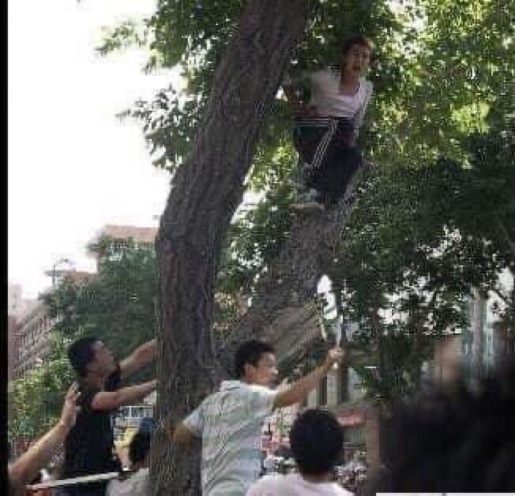 中国的媒体永远都不会公布“7.5”事件中围堵和砍杀这个维吾尔少女的画面的！请关注“我为维吾尔人发声”行动！