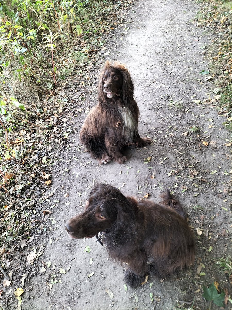 barteyeview's tweet photo. A sleepover with daughter Lyra prompts memories of Larry's last visit. Hope my boy is doing well? @KirsteenPaton @AntOH1988 https://t.co/CHY710hYAb