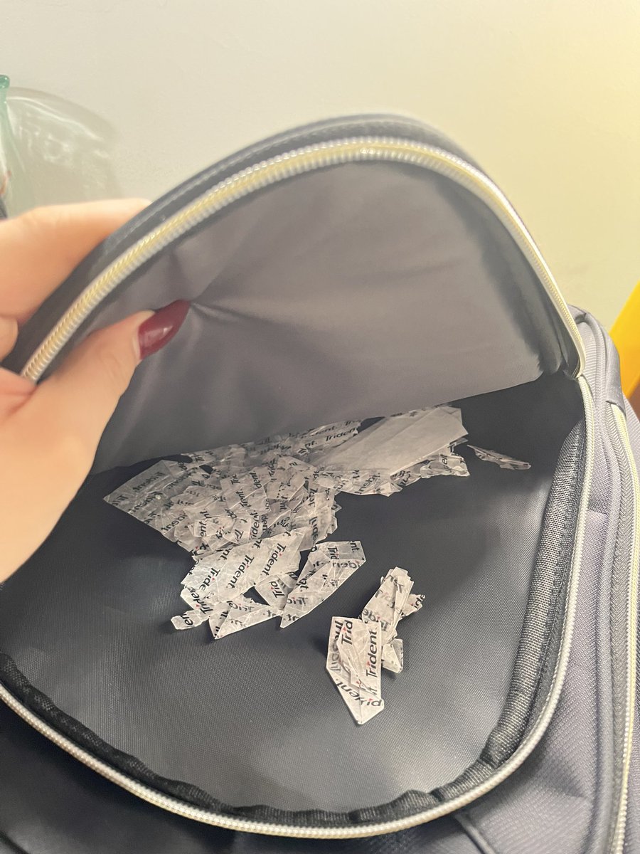 Yo en todas las maletas/bolsos