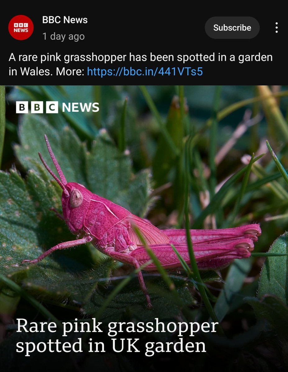 Ash 🚀 tweet media