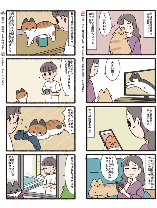 悪の秘密結社ネコ その173 #悪の秘密結社ネコ 