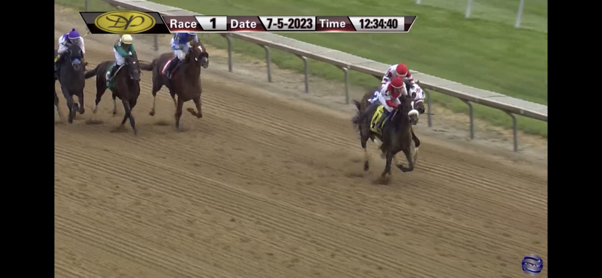 KellyRubley's tweet photo. Congratulations to Peter Shindel and KMR Racing team on Bella Paloma’s confident win @delawarepark today!  A patient and perfect trip from Carol Cedeno. https://t.co/ECYJcQVRNB