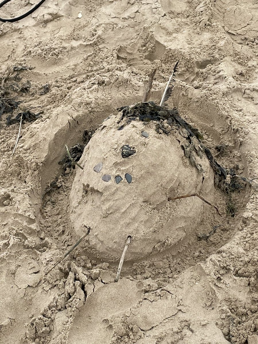 JeffkinneyO's tweet photo. Splashed in the sea ✅ 
Built sandcastles ✅
Found jellyfish ✅
Rolled down sand dunes ✅
Dug holes ✅
Buried each other (and TA) ✅ 
Collected shells and pebbles ✅ 
Ate sandy sandwiches ✅ 
Played sports and games ✅
Such a fun day! @school_oakfield #OakfieldFamily2023 https://t.co/Bos8rI0OfN
