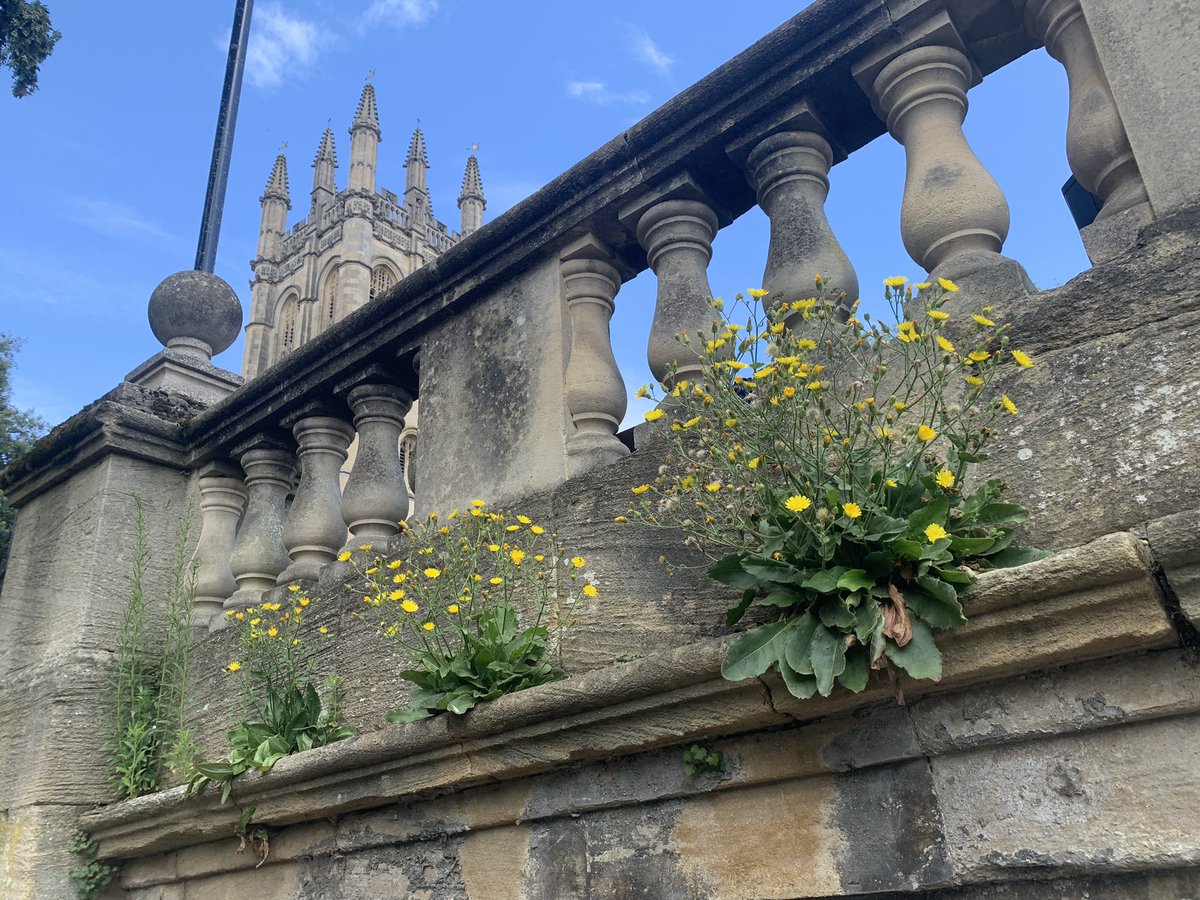 Finley Hutchinson tweet media