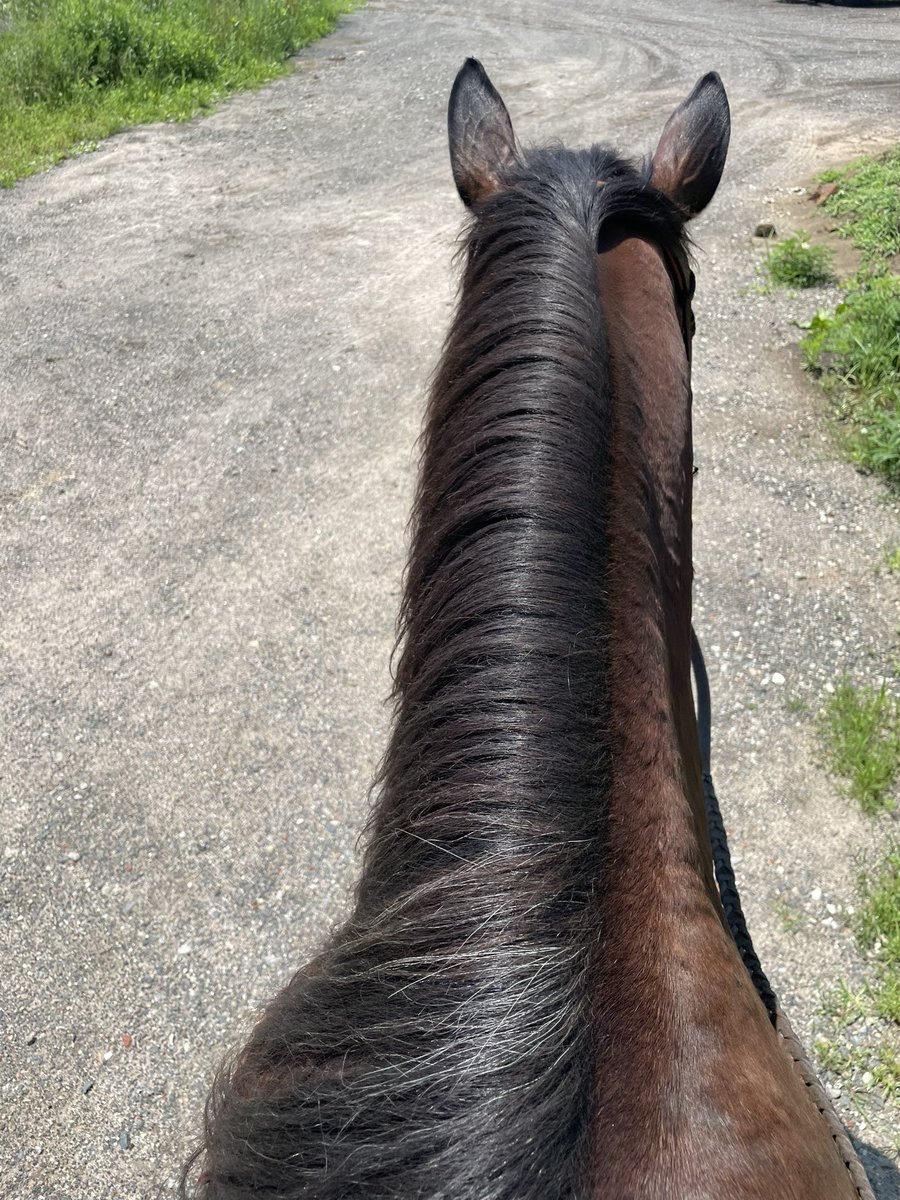 I may have forgotten I’m “on Twitter.” 😂 I’ll be blaming vacation mode brain. 

Good news though, I’m still on me time until tomorrow and trying to get in all the riding while the sun is actually out. ☀️