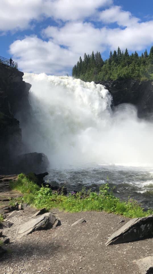 Jan Olsen tweet media