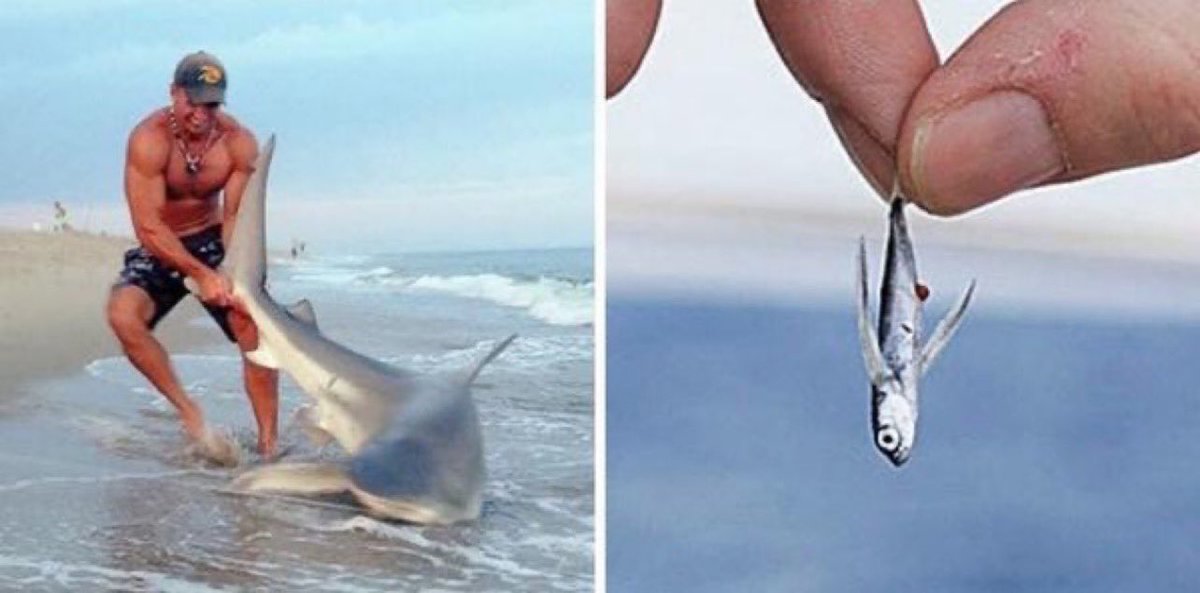 my work &amp; my salary