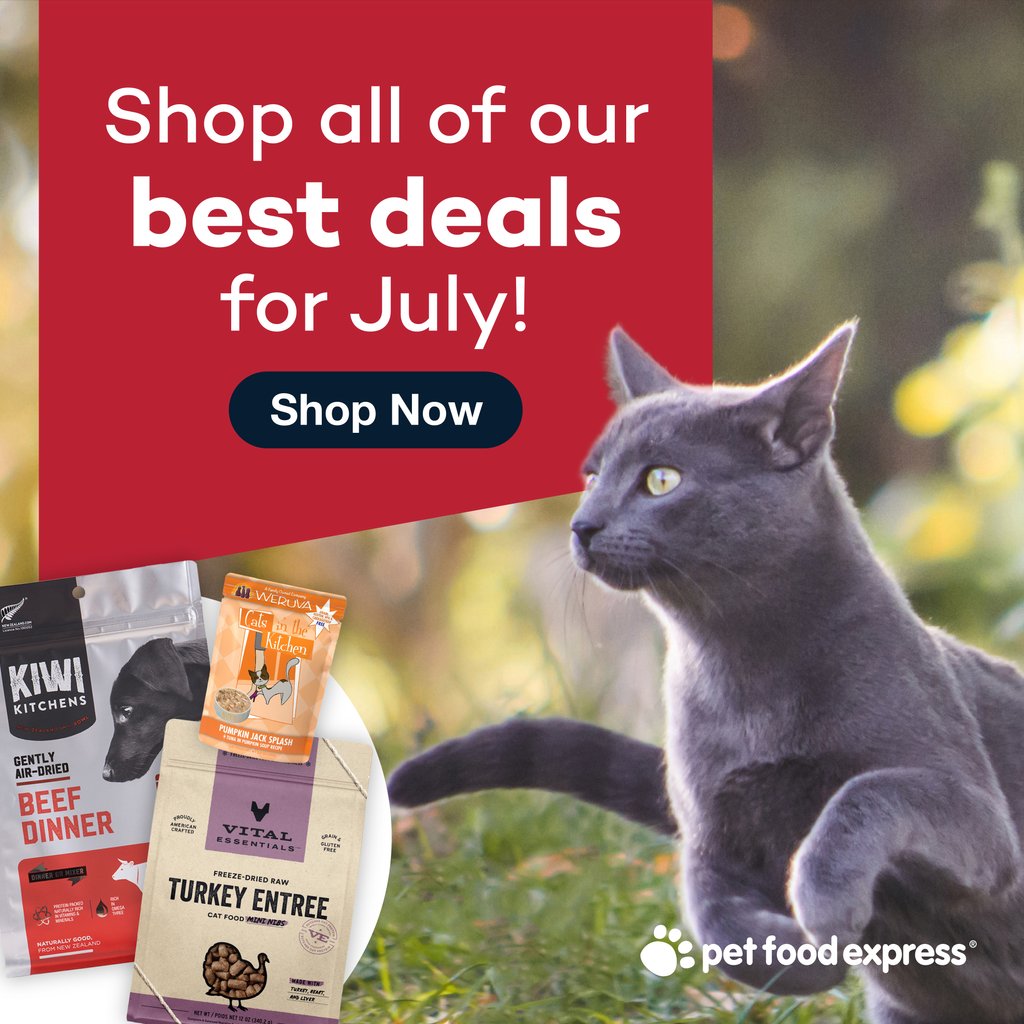 July is here, and we’ve got deals for you! Shop in-store or online this month and save with code JULYDEALS at checkout. Shop: l8r.it/OiMH #petfoodexpress #julydeals