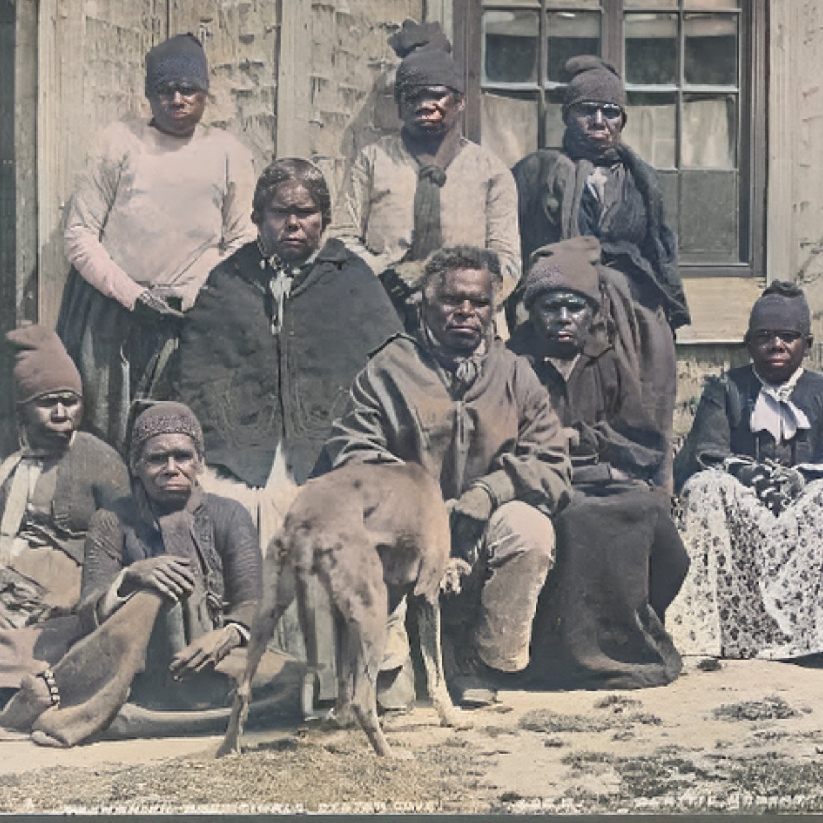 The British almost eliminated the entire Tasmanian Population of Australia in the 1800s by kidnapping, enslaving, torturing and murdering them.   A THREAD!