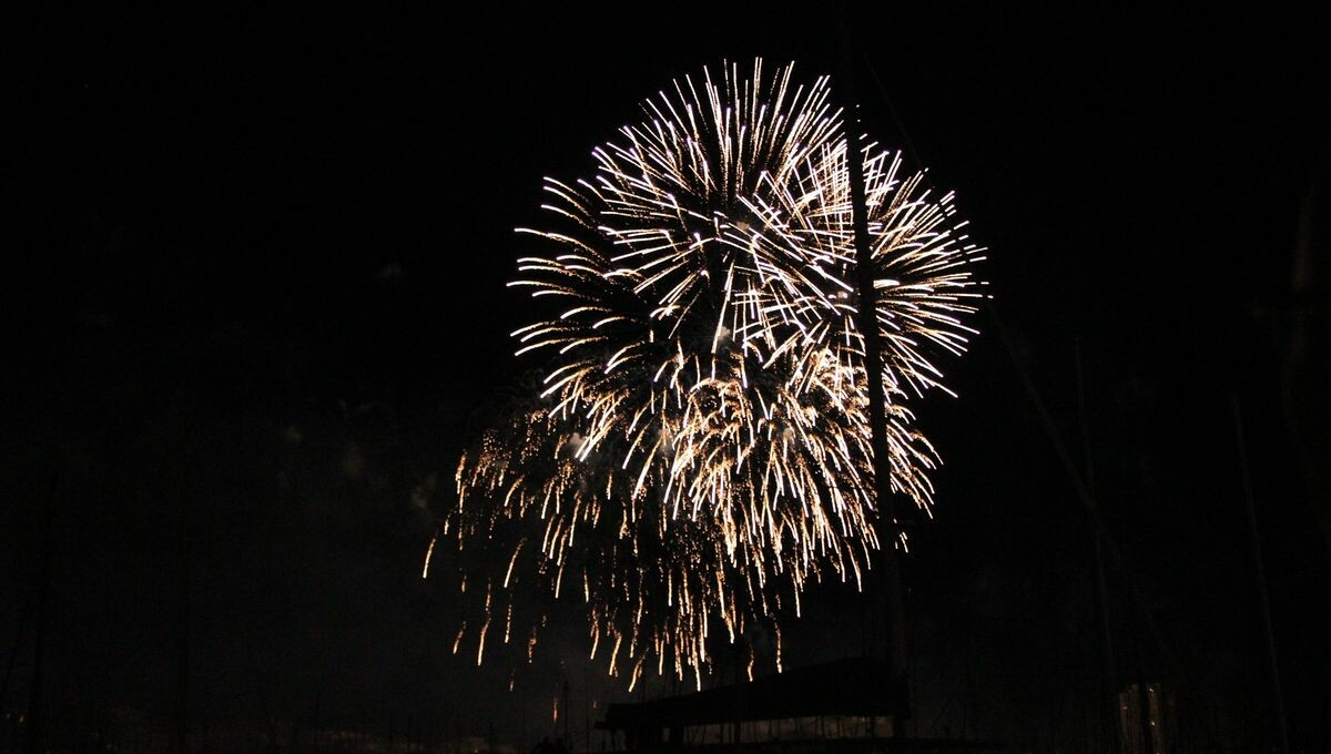 Sécheresse : le feu d'artifice du 14-Juillet est annulé à Strasbourg
➡️ l.francebleu.fr/0gTr