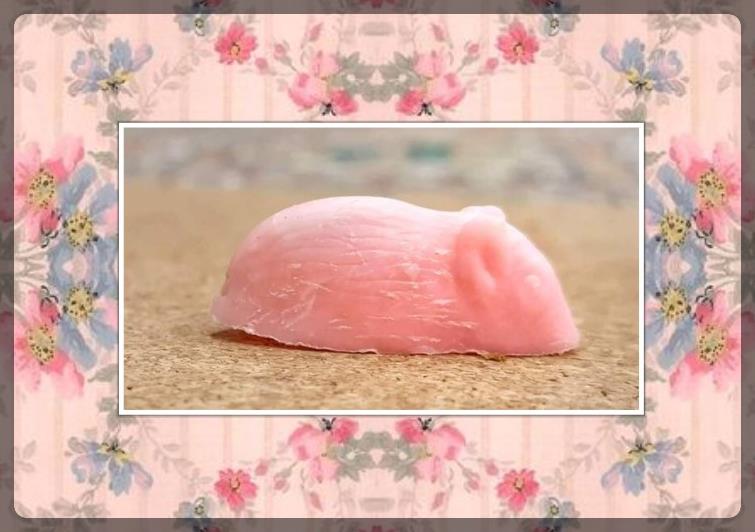 OldSchoolBooks1's tweet photo. Yet another prize from the 70s #bubblegummachine. It's a mouse and used to have a yellow plastic tail. It does look like a sugar mouse, but trust me on this; it's plastic! https://t.co/I6w2r79udo https://t.co/E3BeWidZMr