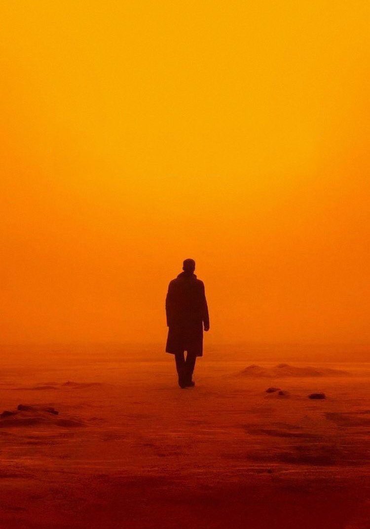 RealEmirHan's tweet photo. Blade Runner 2049

Dir: Denis Villeneuve https://t.co/BOzx6jGIYA