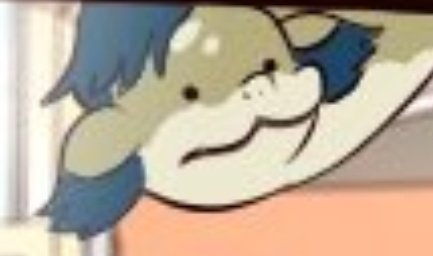 Sam34yB's tweet image. Uhh questions