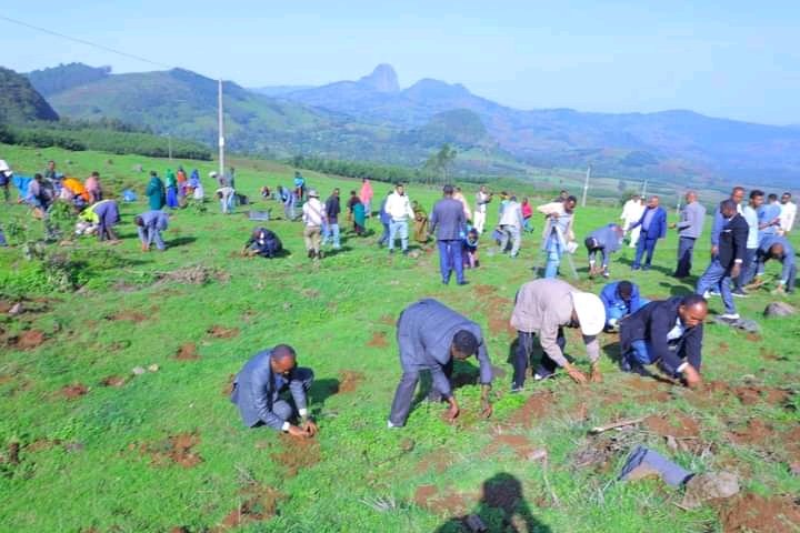 Hailemariam_Kef's tweet photo. Awi Zone administration's 2nd green legacy seedling  plantation program officially started in Banja wereda.On this occasion I called up"A DAILY CHALLENG"for leaders,irrespective of what they assigned for,should be a role model by planting four seedlings every day.I SHOWED IT UP. https://t.co/VMXhCAroQm