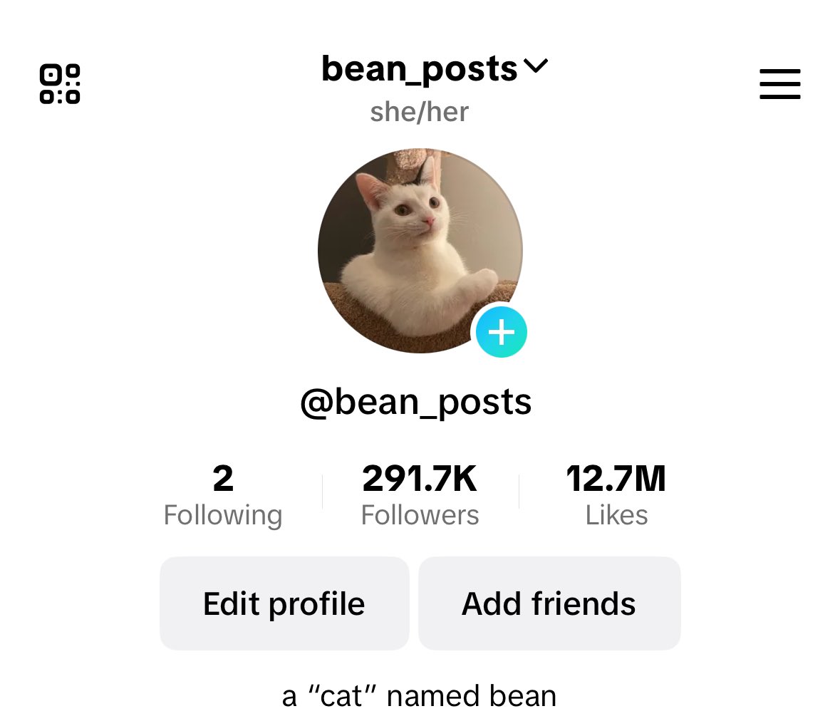 grape__nuts's tweet photo. I always knew my cat was destined for minor internet stardom but this has been WILD. I literally made her account last week 🥴 https://t.co/1gu6tuGEhN