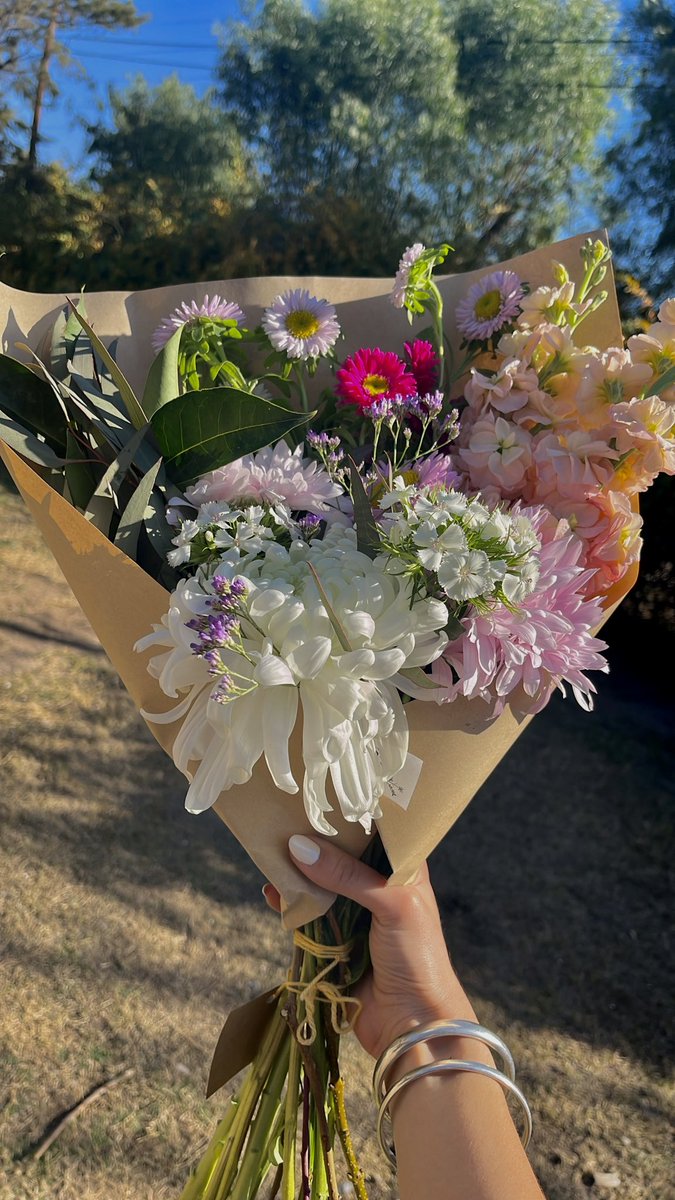 paticami1's tweet photo. Digan lo que digan, las flores son un regalo hermoso 🩷 https://t.co/3SGLU0v7ut