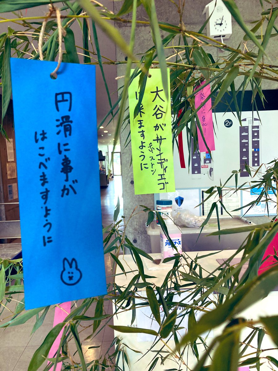 TMU_MBExLab's tweet image. 今年も13号館に七夕飾りが登場しました🎋どなたでも願い事を書いていただけます✨